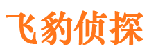 郑州市私家侦探